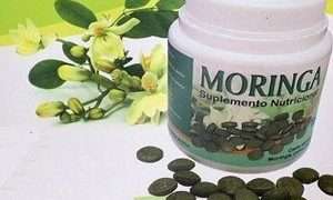 moringa-medicina