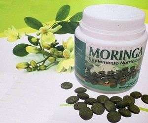 moringa-medicina
