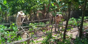 Producir-armonía-naturaleza