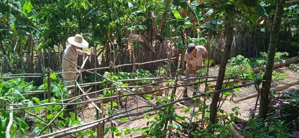 Producir-armonía-naturaleza