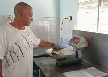 Procesamiento-de-alimentos