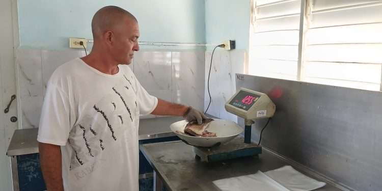 Procesamiento-de-alimentos