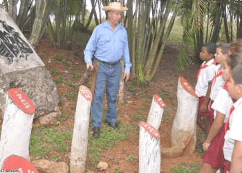 portada-el-artemiseño (3)