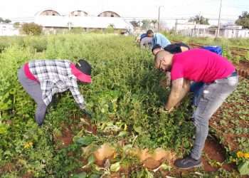 trabajo-voluntario (3)