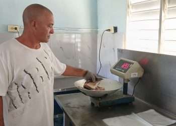 procesamiento-pescado