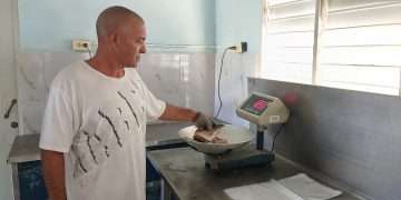 procesamiento-pescado