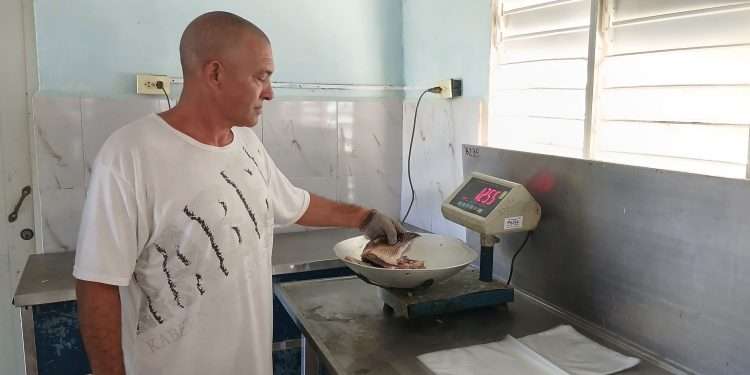 procesamiento-pescado