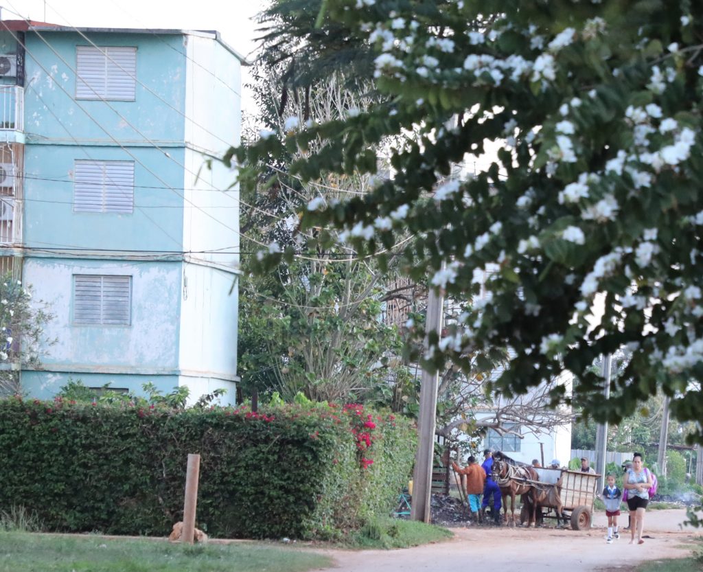 recogida-basura-alquizar