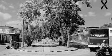 Más datos de los dos fetos sin vida encontrados hoy