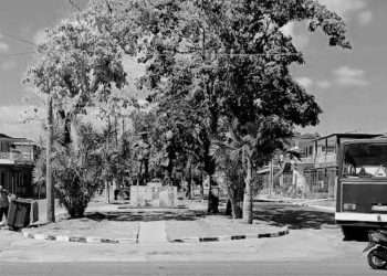 Lamentable hallazgo de dos fetos sin vida en Artemisa