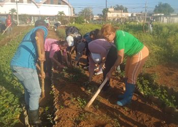 Una Revolución con rostro de mujer