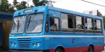 Restablecen servicio de ómnibus Diana de San Antonio a Artemisa