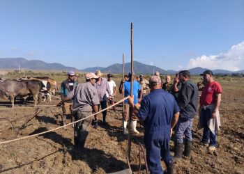 Trabajo-colectivo-campaña-de-alevinaje