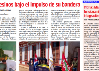 Edición 12 de el artemiseño