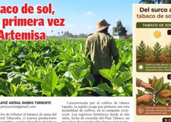 Edición 10 de el artemiseño