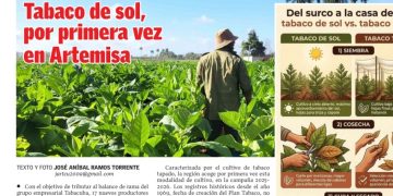 Edición 10 de el artemiseño