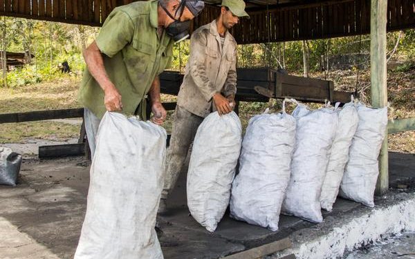 CUBA-PINAR DEL RÍO-CARBONEROS EN LA PRODUCCIÓN DE CARBÓN VEGETAL