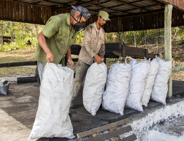 CUBA-PINAR DEL RÍO-CARBONEROS EN LA PRODUCCIÓN DE CARBÓN VEGETAL