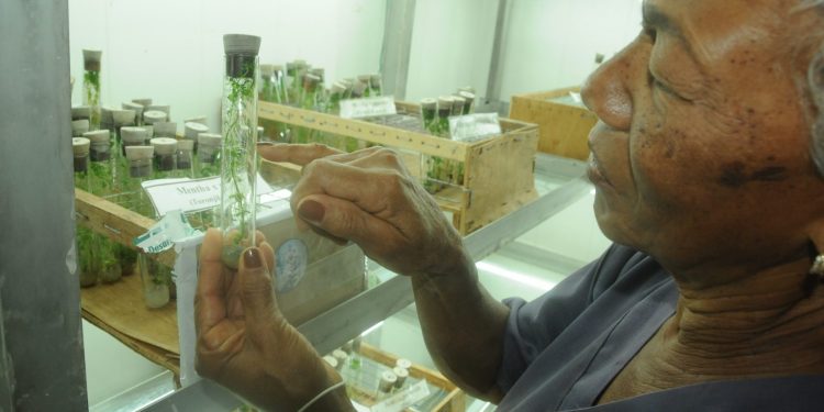 centro-investigacion