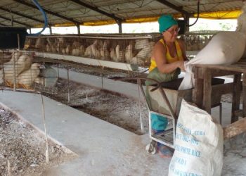 Comercio ofrece información actualizada sobre venta de huevos en el municipio cabecera