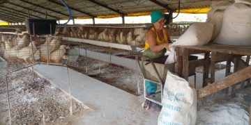 Comercio ofrece información actualizada sobre venta de huevos en el municipio cabecera