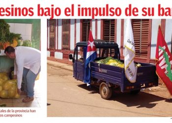 Edición 12 de el artemiseño