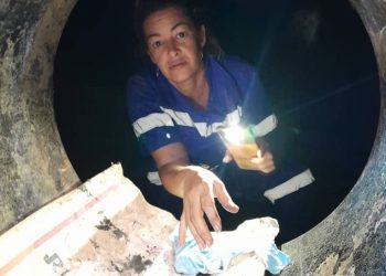 CTE Mariel Unidad 6.jpg