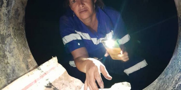 CTE Mariel Unidad 6.jpg