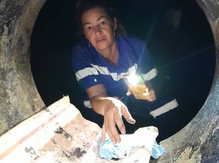 CTE Mariel Unidad 6.jpg