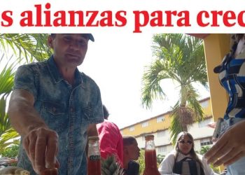 Edición 14 de el artemiseño