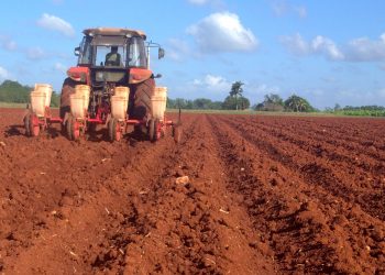 Tierra, cuanta haya ha de cultivarse