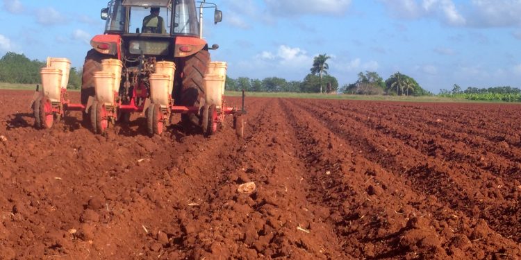 Tierra, cuanta haya ha de cultivarse
