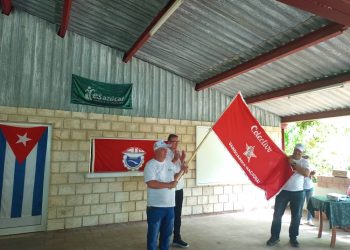 esazucar-vanguardia
