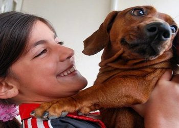 Por el bienestar animal: Formación desde la primera infancia