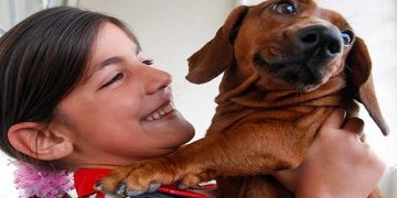 Por el bienestar animal: Formación desde la primera infancia