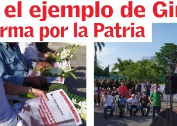 Edición 15 de el artemiseño