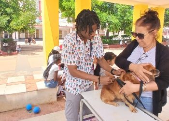 veterinaria-los-duques1