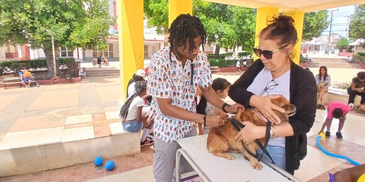 veterinaria-los-duques1