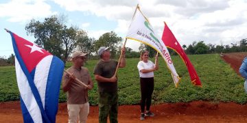 anap-alquízar