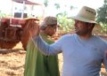 jornaleros-guira-melena