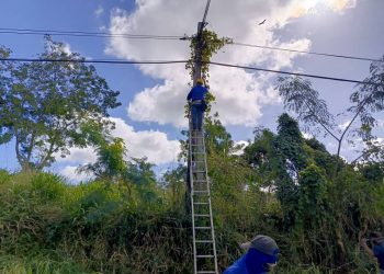 trabajadores-etecsa