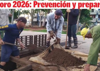 Edición 19 de el artemiseño