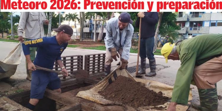 Edición 19 de el artemiseño