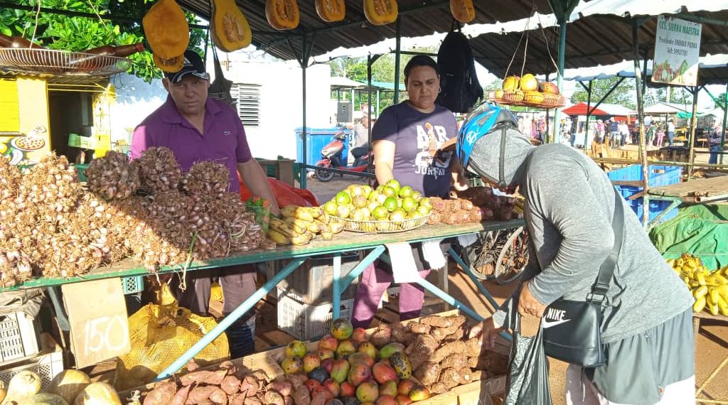 En la feria de Artemisa hay variedad de productos y presencia de formas productives y de actores estatales y no estatales (2)