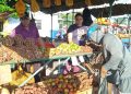 En la feria de Artemisa hay variedad de productos y presencia de formas productives y de actores estatales y no estatales (2)
