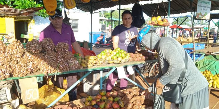 En la feria de Artemisa hay variedad de productos y presencia de formas productives y de actores estatales y no estatales (2)