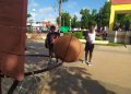 Ya se vive el Festival Deportivo Escolar