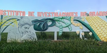 Ciencia que germina en los surcos