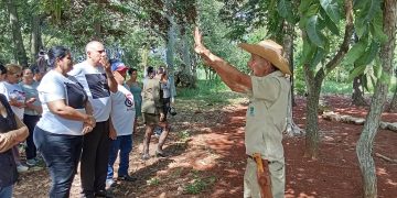 bosque-martiano