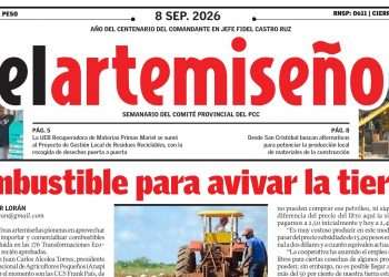Edición 35 de el artemiseño